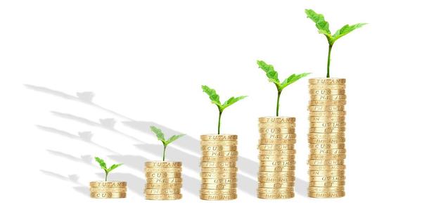 Stocks Rise on Expectations of a Federal Reserve Rate Cut, with E.W. Scripps and Crocs Leading the Gains.