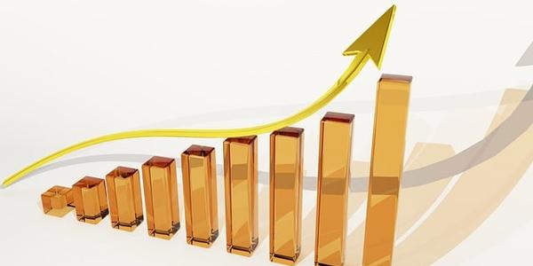 LeMaitre Revenue Up, Shares Fall Amid Surgical Equipment Sector Weakness