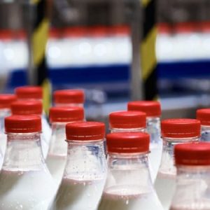 Chinese measures to raise birth rates are boosting dairy stocks